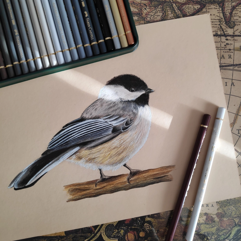 Illustrationen Tieren Vogel 03