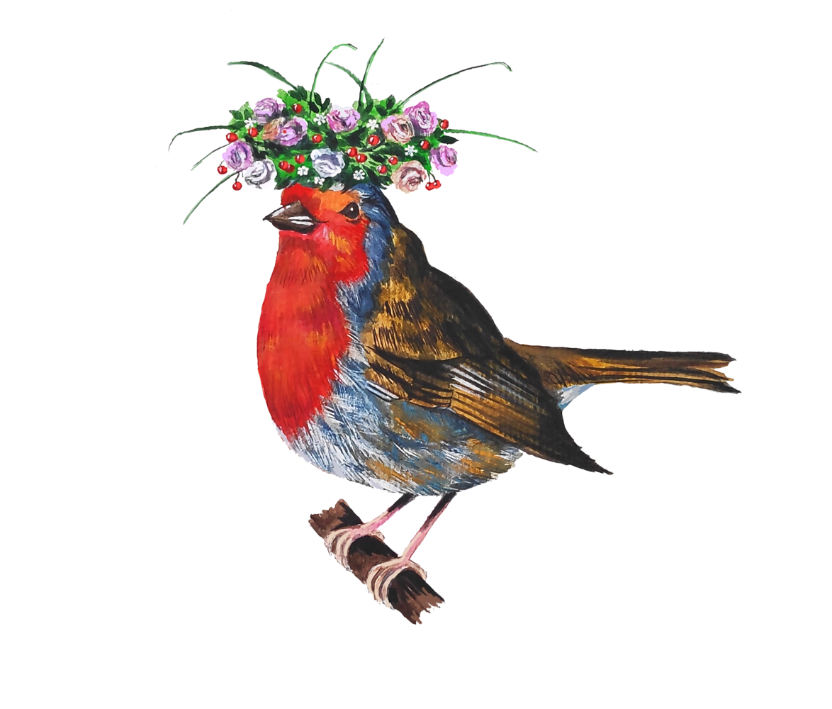 Illustrationen Tieren Vogel 07